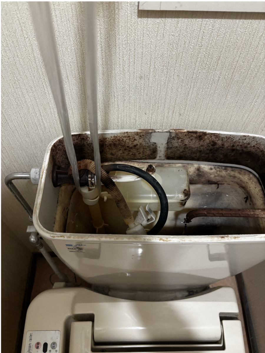 ふたを外したトイレのタンク内部。ボールタップや浮き、タンク内側に貼られた防露材が見える